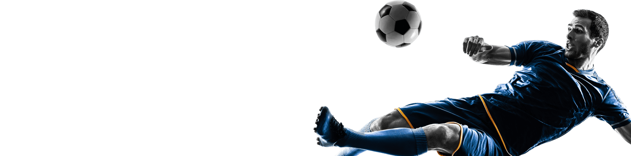 https://rocksolidteams.net/wiroltoo/2017/12/inner_player.png